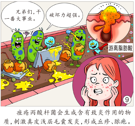 55555.png